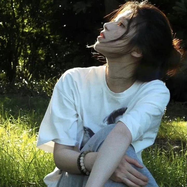 菊石